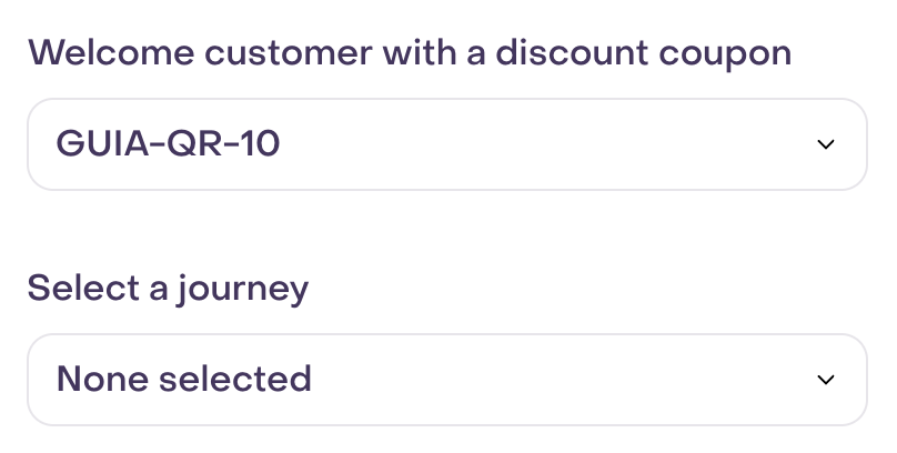 Coupon and journey selectors with GUIA-QR-10 selected transiently.